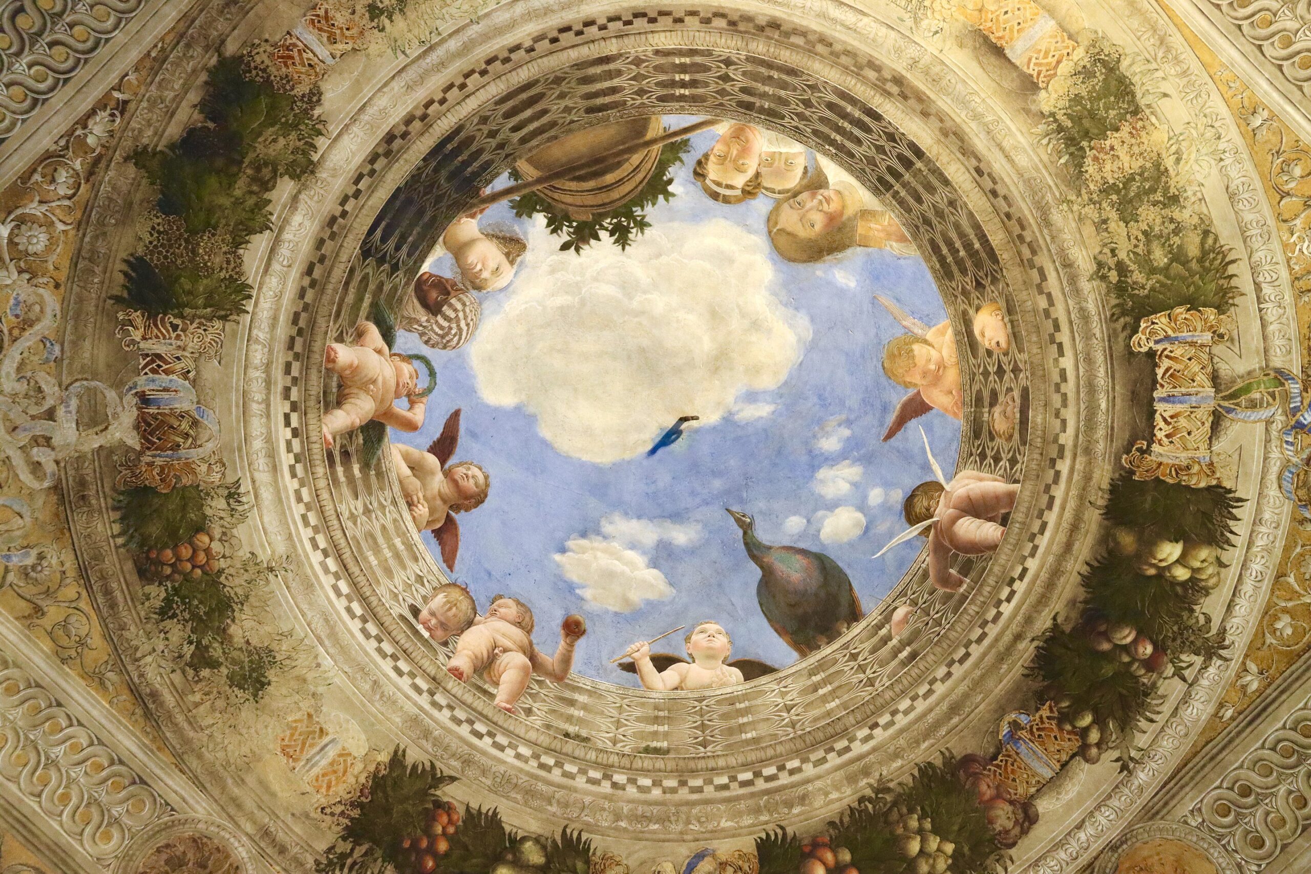 Oculus na sklepieniu Camera degli Sposi – putta nad balustradą, paw i donica; perspektywa di sotto in sù, Andrea Mantegna